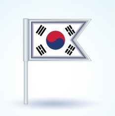 Flag of South korea vector illustration N3