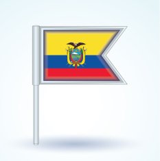 Flag of Ecuador vector illustration N3