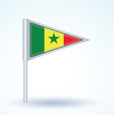 Flag of Senegal vector illustration N4