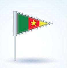 Flag of cameroon vector illustration N4