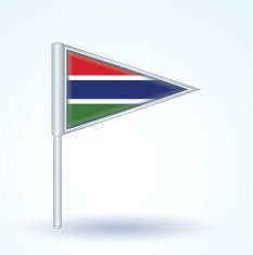 Flag of Gambia vector illustration N4