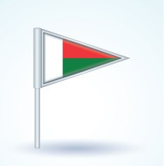 Flag of Madagascar vector illustration N4