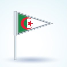 Flag of Algeria vector illustration N4