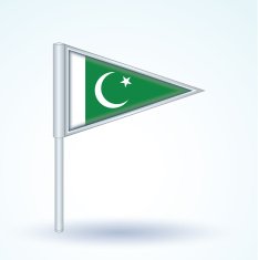 Flag of Pakistan vector illustration N4