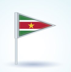 flag of Suriname vector illustration N5