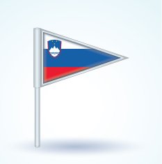 Flag of Slovenia vector illustration N4