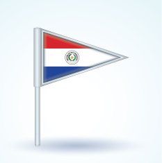 Flag of Paraguay vector illustration N4