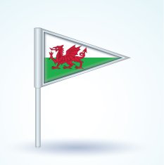 Flag of Wales vector illustration N2