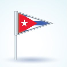 Flag of Cuba vector illustration N4