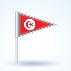 Flag of Tunisia vector illustration N4