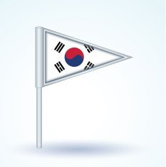 Flag of South korea vector illustration N4