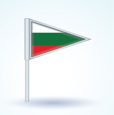 Flag of Bulgaria vector illustration N3
