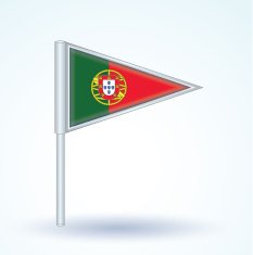 Flag of Portugal vector illustration N3