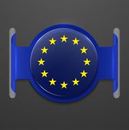vector modern euro flag design N3