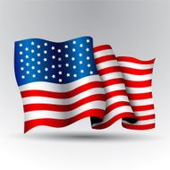 American Flag N145