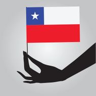 Flag of the State Chile