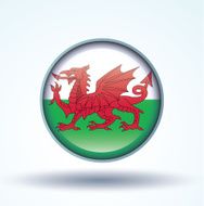 Flag of Wales vector illustration N7