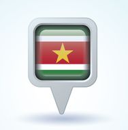 flag of Suriname vector illustration N6