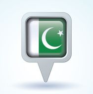 Flag of Pakistan vector illustration N5