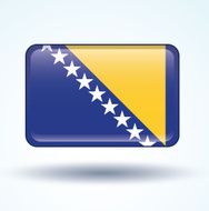 Flag of Bosnia vector illustration N5
