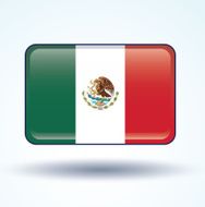 Flag of Mexico vector illustration N4