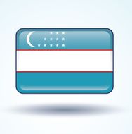 Flag of Uzbekistan vector illustration N13