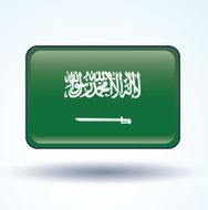 Flag of Saudi Arabia vector illustration N4