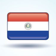 Flag of Paraguay vector illustration N5