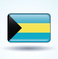 Flag of Bahamas vector illustration N4