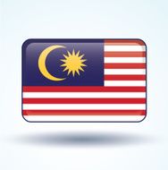 Flag of Malaysia vector illustration N4