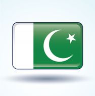 Flag of Pakistan vector illustration N6