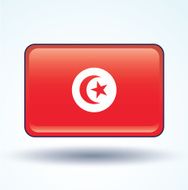 Flag of Tunisia vector illustration N6
