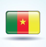 Flag of cameroon vector illustration N6