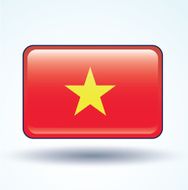 Flag of Vietnam vector illustration N6