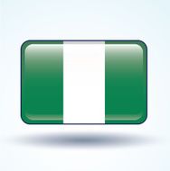 Flag of Nigeria vector illustration N5