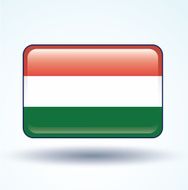 Flag of hungary vector illustration N5