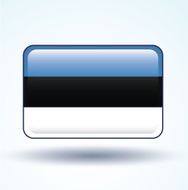 Flag of Estonia vector illustration N5