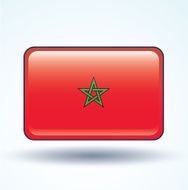 Flag of Morocco vector illustration N5