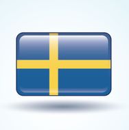 Flag of Sweden vector illustration N5