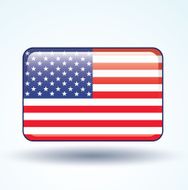 Flag of United states america vector illustration N4