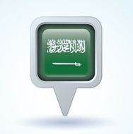 Flag of Saudi Arabia vector illustration N5