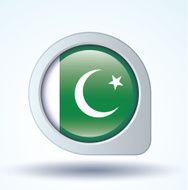 Flag of Pakistan vector illustration N8