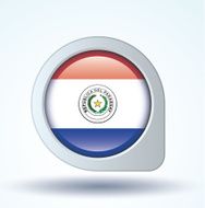 Flag of Paraguay vector illustration N8