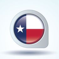 Flag of Texas vector illustration N5