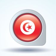 Flag of Tunisia vector illustration N7