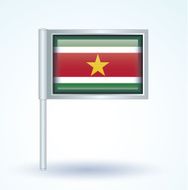 flag of Suriname vector illustration N10