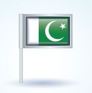 Flag of Pakistan vector illustration N10