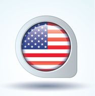 Flag of United states america vector illustration N8
