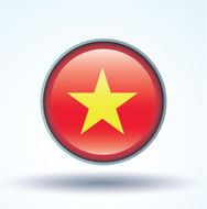 Flag of Vietnam vector illustration N10