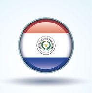 Flag of Paraguay vector illustration N10